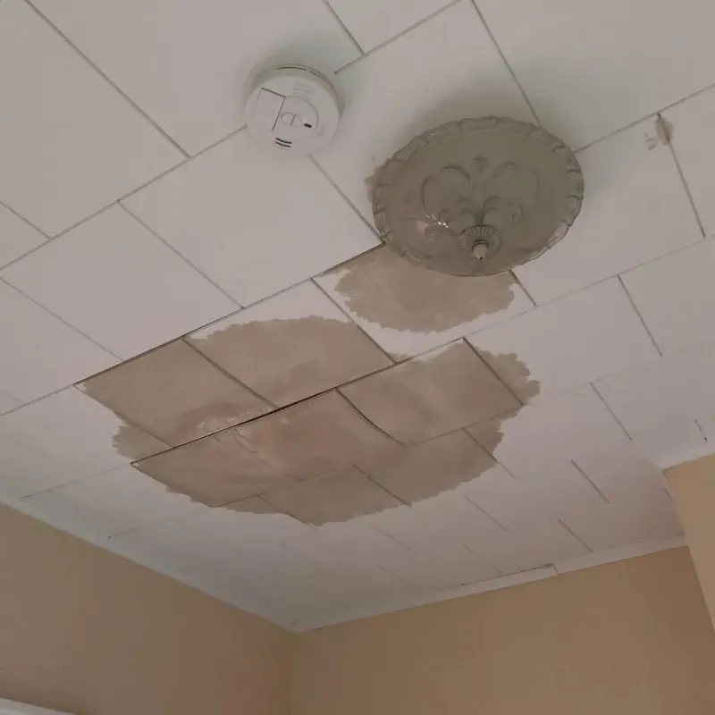 Ceiling Water Damage Repair in Dallas County, IA