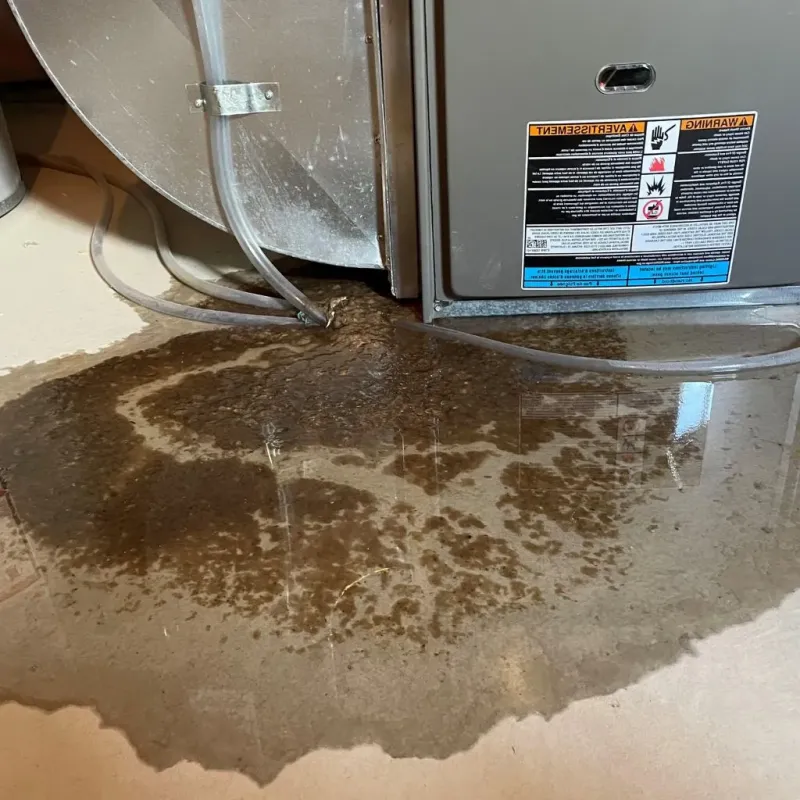 Pipe Burst and Leak Restoration in Dallas County, IA