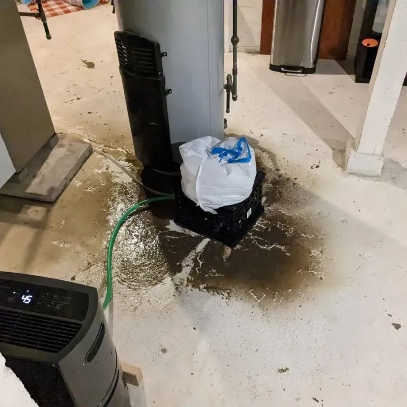 Sewage Backup Cleanup Service in Dallas County, IA